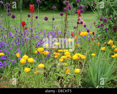 Parterre coloré dans le jardin italien de Mount Stewart house. Banque D'Images