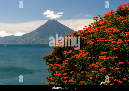 Volcan San Pedro, Lac Atitlan, Panajachel, Solola, Guatemala Ministère. © Kraig Lieb Banque D'Images