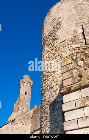 Chateau Tour, Le Grand-Pressigny, sud-Touraine, France. Banque D'Images