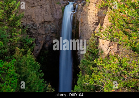 Tower Falls avec rainbow dans Yellowstone, Wyoming, USA Banque D'Images