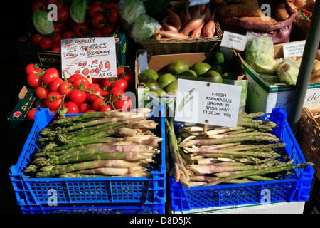 Les asperges cultivées locales UK Angleterre Worcestershire Broadway Banque D'Images