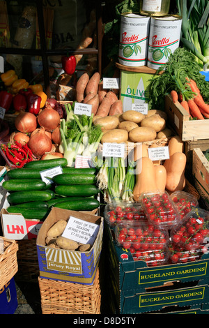 Les légumes cultivés de Worcestershire Broadway England UK Banque D'Images