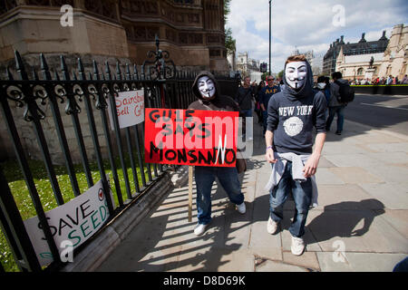 Londres, Royaume-Uni. 25 mai 2013. Lieu des manifestations contre les OGM Monsanto, fabricant de produits alimentaires à l'extérieur du Parlement de Londres dans le cadre d'une journée mondiale d'action contre le géant des semences, Monsanto. Crédit : Sébastien Remme /Alamy Live News Banque D'Images