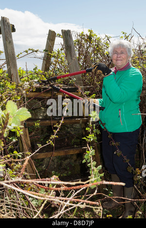 Sentier de randonnée pédestre bénévole suppression d'un chemin et d'échelle pays stile bloqué avec une végétation. Pays de Galles Royaume-uni Grande-Bretagne Banque D'Images