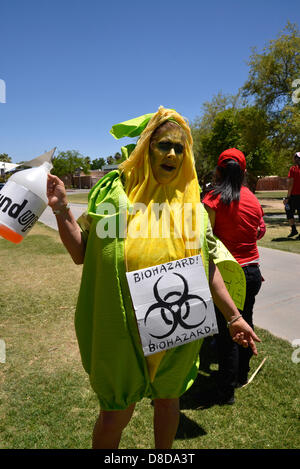 Tuscon, Arizona, USA. 25 mai, 2013. Environ 1 000 manifestants ont participé à une marche organisée par Monsanto de Tucson contre OGM, ou organisme génétiquement modifié, le 25 mai 2013, à Reid Park, Tucson, Arizona, USA. Credit : Norma Jean Gargasz/Alamy live News Banque D'Images