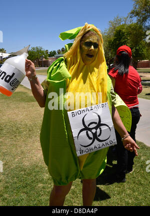 Tuscon, Arizona, USA. 25 mai, 2013. Environ 1 000 manifestants ont participé à une marche organisée par Monsanto de Tucson contre OGM, ou organisme génétiquement modifié, le 25 mai 2013, à Reid Park, Tucson, Arizona, USA. Credit : Norma Jean Gargasz/Alamy live News Banque D'Images