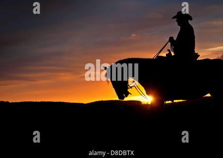 Silhouette de cow-boy, cavalier équitation à travers pré dans son pays coucher du soleil dans l'arrière-plan Banque D'Images