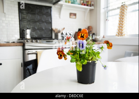 Un pot avec des pensées est assis sur une table de cuisine dans une cuisine de style cottage Banque D'Images