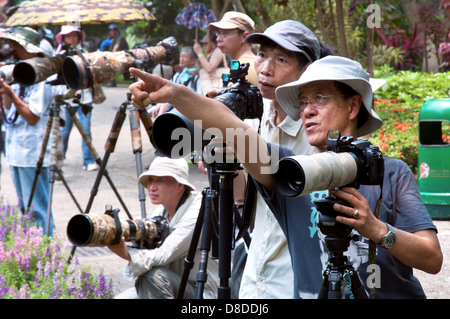 Nature des photographes à Hong Kong Park, Central District Banque D'Images