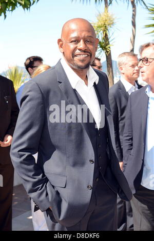 Cannes, France. 26 mai, 2013. L'acteur Forest Whitaker, assiste à une séance de photos pour 'Zulu' lors de la 66e Assemblée annuelle du Festival du Film de Cannes au Palais des Festivals le 26 mai 2013 à Cannes, France. (Crédit : Crédit : Image/ZUMAPRESS.com/Alamy Injimbert Frederick Live News) Banque D'Images