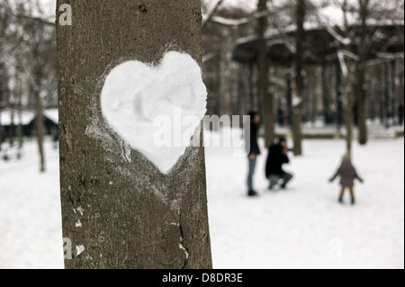 Love heart made of snow on a tree. Banque D'Images