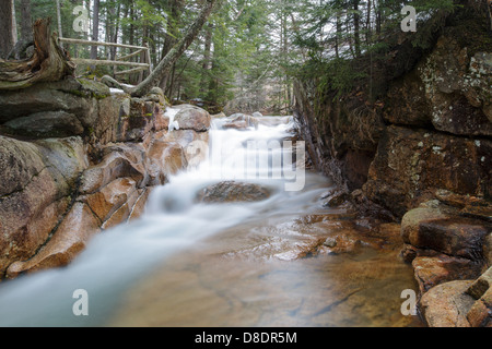 Le bébé dans le canal de Franconia Notch State Park, New Hampshire, USA Banque D'Images