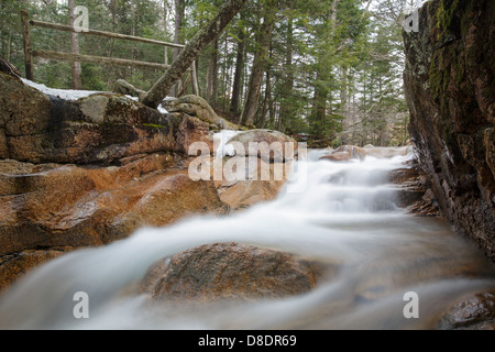 Le bébé dans le canal de Franconia Notch State Park, New Hampshire, USA Banque D'Images