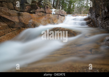 Le bébé dans le canal de Franconia Notch State Park, New Hampshire, USA Banque D'Images