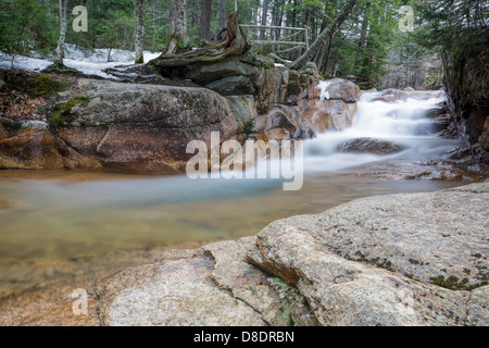 Le bébé dans le canal de Franconia Notch State Park, New Hampshire, USA Banque D'Images