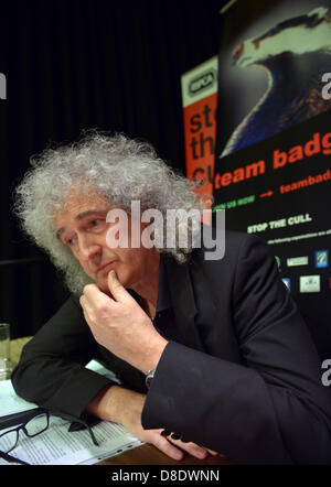 Dorchester, Royaume-Uni. 24 mai, 2013. L'ancien guitariste de Queen et vice-président de la RSPCA Brian May s'est prononcé contre le gouvernement envisage de présenter un blaireau Cull dans le sud-ouest de l'Angleterre. L'anti-cull réunion était organisée par la RSPCA et tenue à Dorchester, Dorset, Angleterre. 24 mai, 2013 Photo par : DORSET MEDIA SERVICE/Alamy Live News Banque D'Images