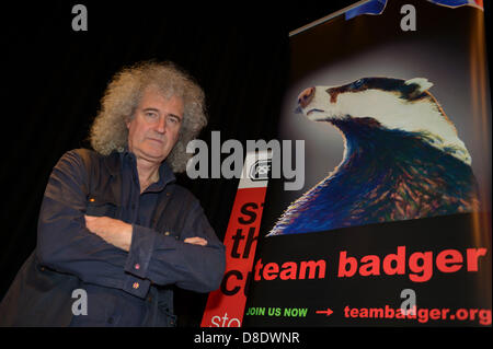 Dorchester, Royaume-Uni. 24 mai, 2013. L'ancien guitariste de Queen et vice-président de la RSPCA Brian May s'est prononcé contre le gouvernement envisage de présenter un blaireau Cull dans le sud-ouest de l'Angleterre. L'anti-cull réunion était organisée par la RSPCA et tenue à Dorchester, Dorset, Angleterre. 24 mai, 2013 Photo par : DORSET MEDIA SERVICE/Alamy Live News Banque D'Images