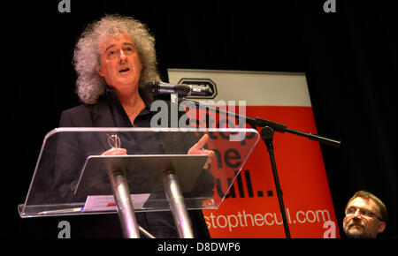 Dorchester, Royaume-Uni. 24 mai, 2013. L'ancien guitariste de Queen et vice-président de la RSPCA Brian May s'est prononcé contre le gouvernement envisage de présenter un blaireau Cull dans le sud-ouest de l'Angleterre. L'anti-cull réunion était organisée par la RSPCA et tenue à Dorchester, Dorset, Angleterre. 24 mai, 2013 Photo par : DORSET MEDIA SERVICE/Alamy Live News Banque D'Images