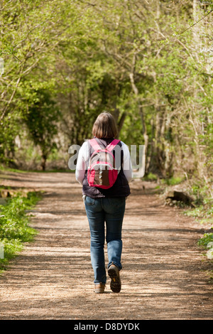 Femme d'âge moyen marche avec sac à dos sur un chemin dans les bois de forêts, Norfolk, East Anglia, Royaume-Uni Banque D'Images