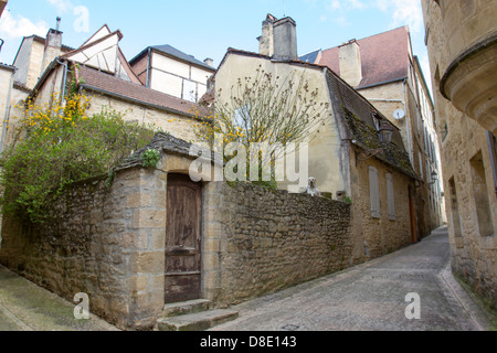 Chien perché sur mur le long de la rue étroites et pavées avec des bâtiments en grès médiévale dans la charmante ville de Sarlat, Dordogne, France Banque D'Images