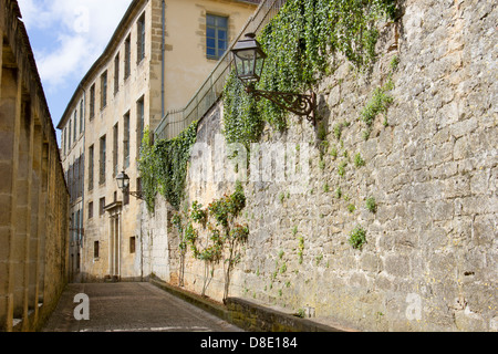 Ivy croissant sur les bâtiments en grès médiévale le long de la rue pavée, dans la charmante ville de Sarlat, Dordogne France Banque D'Images