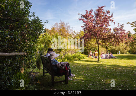 Highdown Gardens, Worthing, West Sussex, UK. 26 mai 2013. Les visiteurs apprécient le soleil du printemps à Highdown Gardens, Worthing, West Sussex, Crédit photo : Julia Claxton /Alamy Live News Banque D'Images