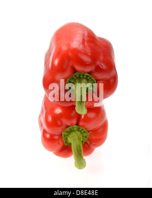 Poivron rouge isolé sur fond blanc Banque D'Images