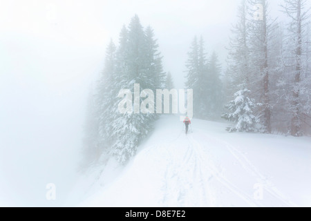 Randonneur à ski dans le Parc National de Kalkalpen, Autriche Banque D'Images