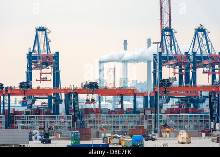 Terminal à conteneurs dans le port de Rotterdam, Pays-Bas Banque D'Images