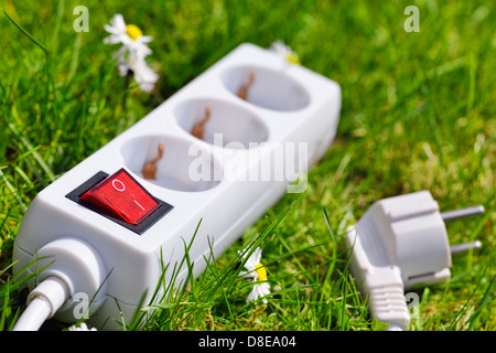 En sortie de l'herbe, symbole de l'énergie verte photo Banque D'Images