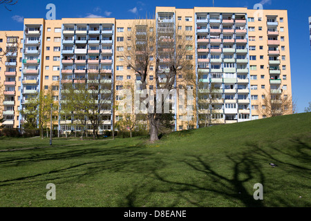 Il est intéressant d'ombres contractantes dans l'un des parcs de la ville de Gdansk. Banque D'Images