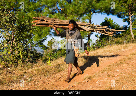 Homme transporter le bois, Kalaw, Myanmar Banque D'Images