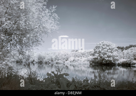 Une image infrarouge à la recherche sur une rivière Banque D'Images