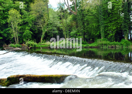 Weir sur la Liffey au k club dans le comté de Kildare en Irlande Banque D'Images