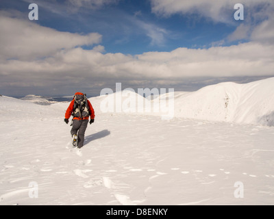 Un marcheur sur la rue dans le Lake District fells dans de la neige profonde, au Royaume-Uni. Banque D'Images