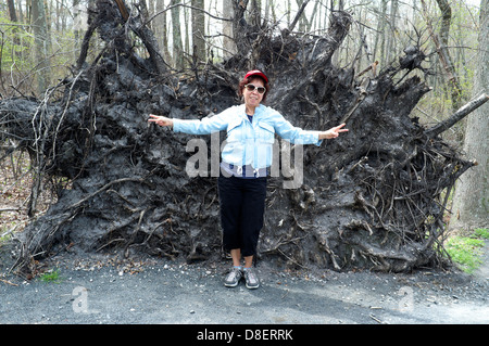 Femme Asiatique se trouve en face de l'arbre déraciné dans réservoir Manasquan State Park, Manasquan, NJ USA Banque D'Images