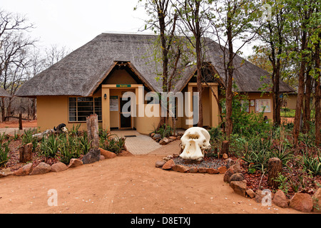 Sirheni accueil du camping avec crâne d'éléphant à l'entrée du Parc National Kruger en Afrique du Sud Banque D'Images