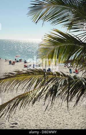 Des groupes d'amateurs de plage vous détendre sur la plage de Venice, en Floride. Banque D'Images