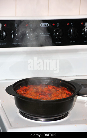 Les images d'un stew cuisson dans un pot en fonte sur une cuisinière électrique. Banque D'Images