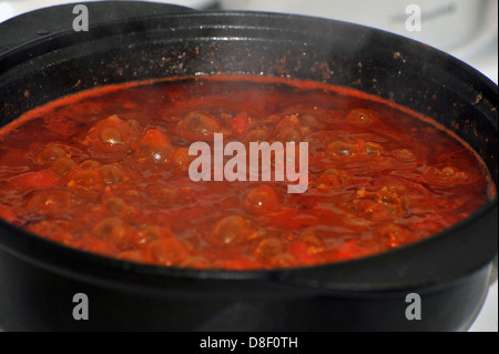 Les images d'un stew cuisson dans un pot en fonte sur une cuisinière électrique. Banque D'Images