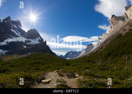 Los Cuernos les montagnes, les forêts et bien vu de Mirador Frances dans le Parc National des Torres del Paine Banque D'Images