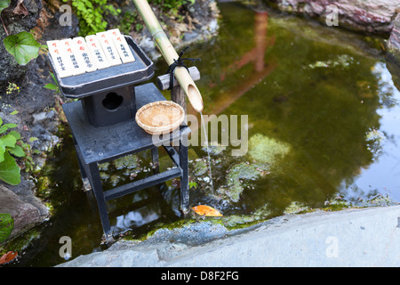 Tsukubai est un petit bassin fournis dans des temples bouddhistes japonais pour les visiteurs de se purifier par le rituel du lavage des mains Banque D'Images