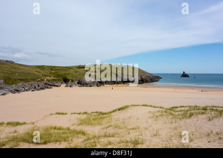 Vue sur les dunes et des grottes à Grand Haven Beach à Bosherston, sur le parc national Pembrokeshire Coast. Banque D'Images