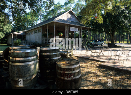 Elk283-4298 Louisiane, Avery Island, Tabasco Country Store Banque D'Images