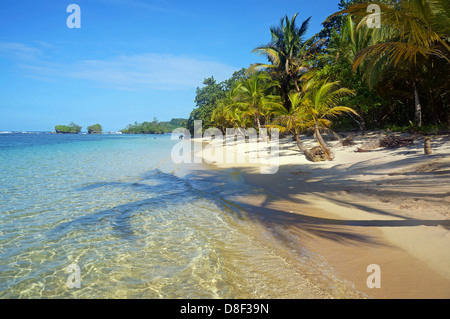 Plage vierge avec l'ombre des cocotiers sur le sable et d'îles en arrière-plan Banque D'Images