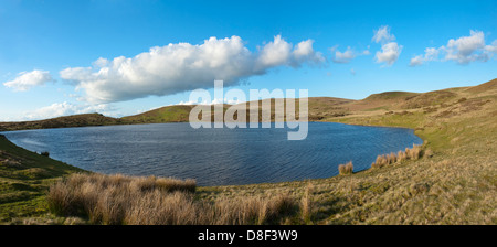 Panorama, Cambrian Mountains, Powys, Wales, UK. Banque D'Images