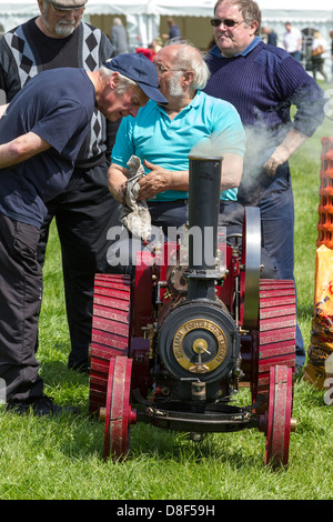 Petit tracteur à vapeur à un rassemblement à Earls Barton Northamptonshire Banque D'Images