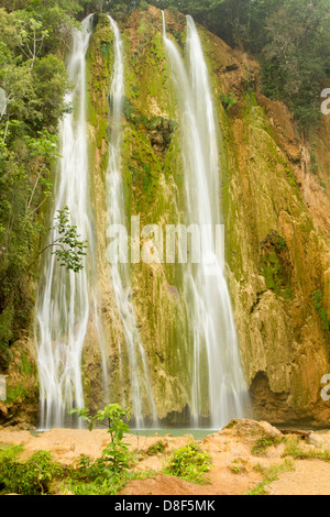 Salto del Limon à Samana, République dominicaine. Banque D'Images