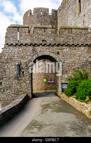 La barbacane et l'un des deux tours rondes de la porterie la défense de l'entrée dans l'espace extra-ward de Pembroke Castle Banque D'Images