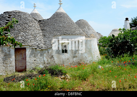 Trulli au printemps, Pouilles, Italie Banque D'Images